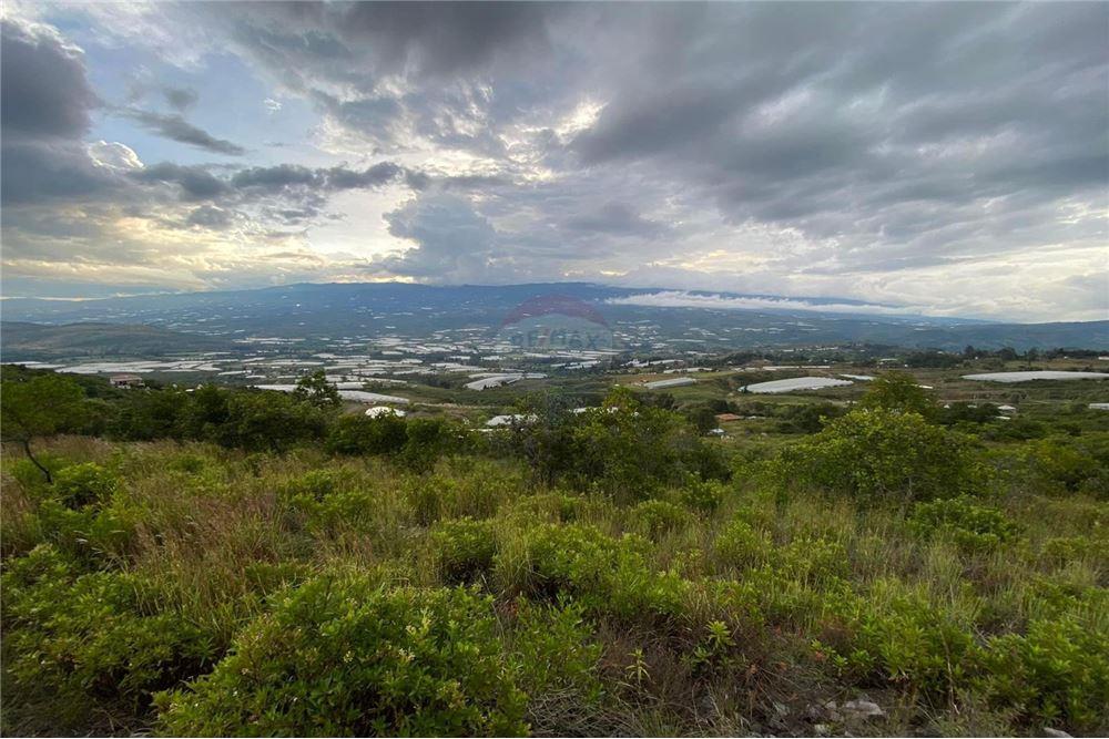 Lot for Sale - Villa de Leyva, Boyacá